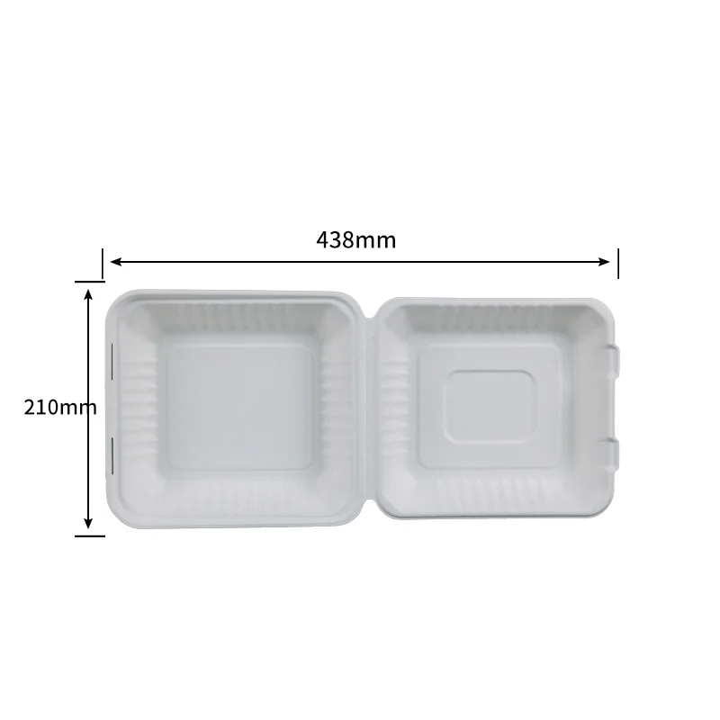 20.3 cm Clamshell · Sugarcane Clamshells · product image